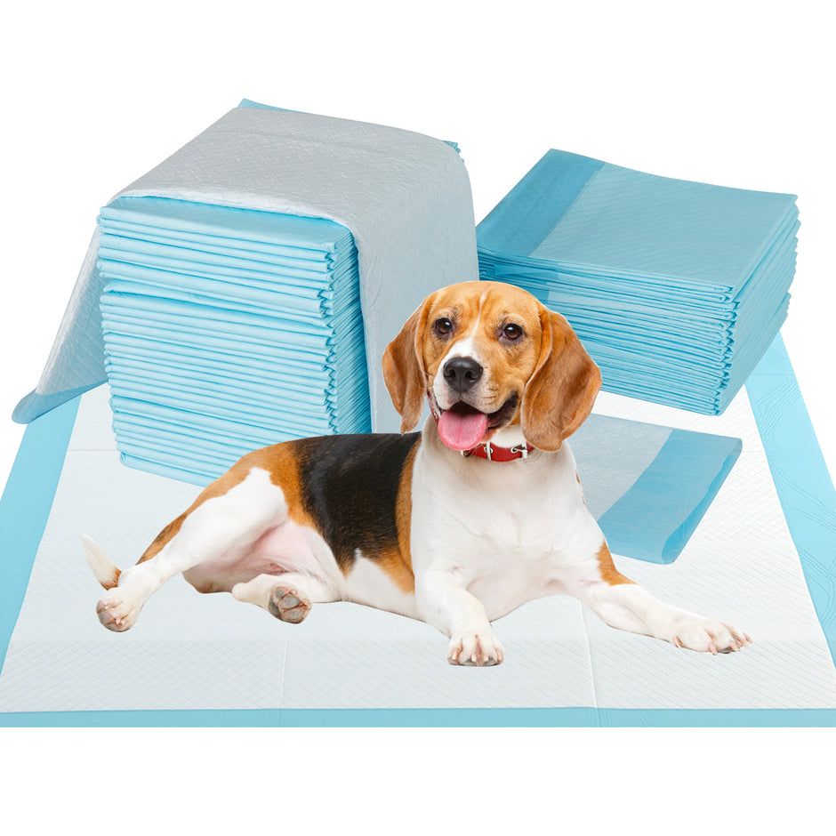 Träningsmaterial – Hunden Utehållande lagers design Valpunderlag Puppy Pads (90 x stycken) – 6 60 cm 150 – Blå
