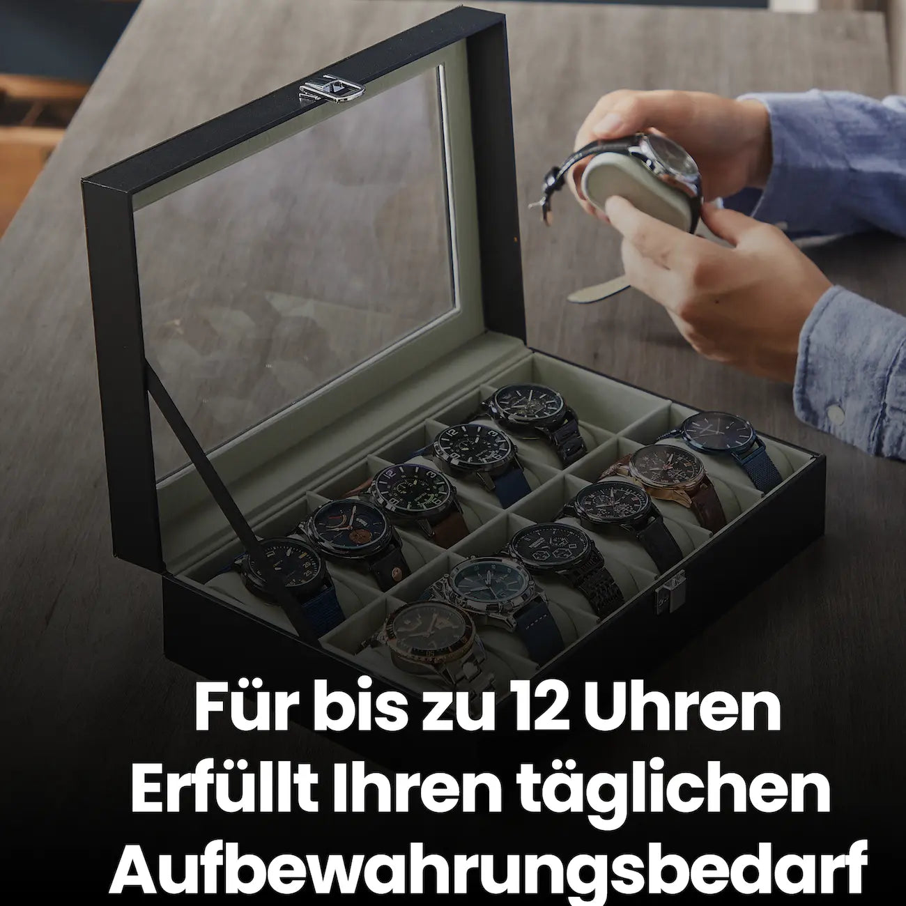 Beobachtungsschachtel - mit 12 Fächern und Glasdeckel, Luxus -Aufbewahrungsbox