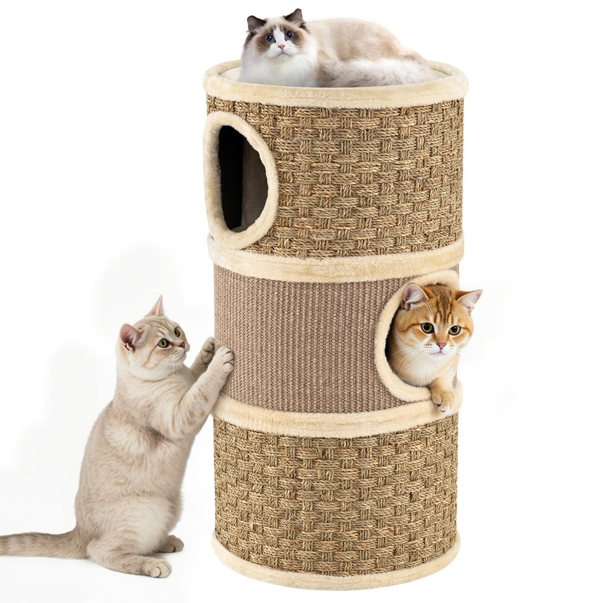 Kratztunna – Med Sivgrass Seil och Sisal Kratzbräda Hölor Kattunna Kratzträd – 3 Ø 36 Cm – Khaki