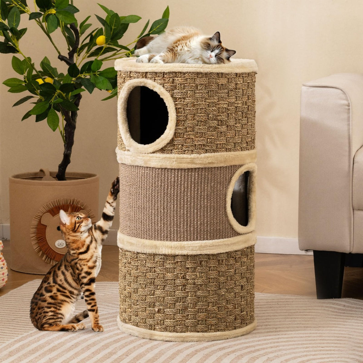 Kratztunna – Med Sivgrass Seil och Sisal Kratzbräda Hölor Kattunna Kratzträd – 3 Ø 36 Cm – Khaki