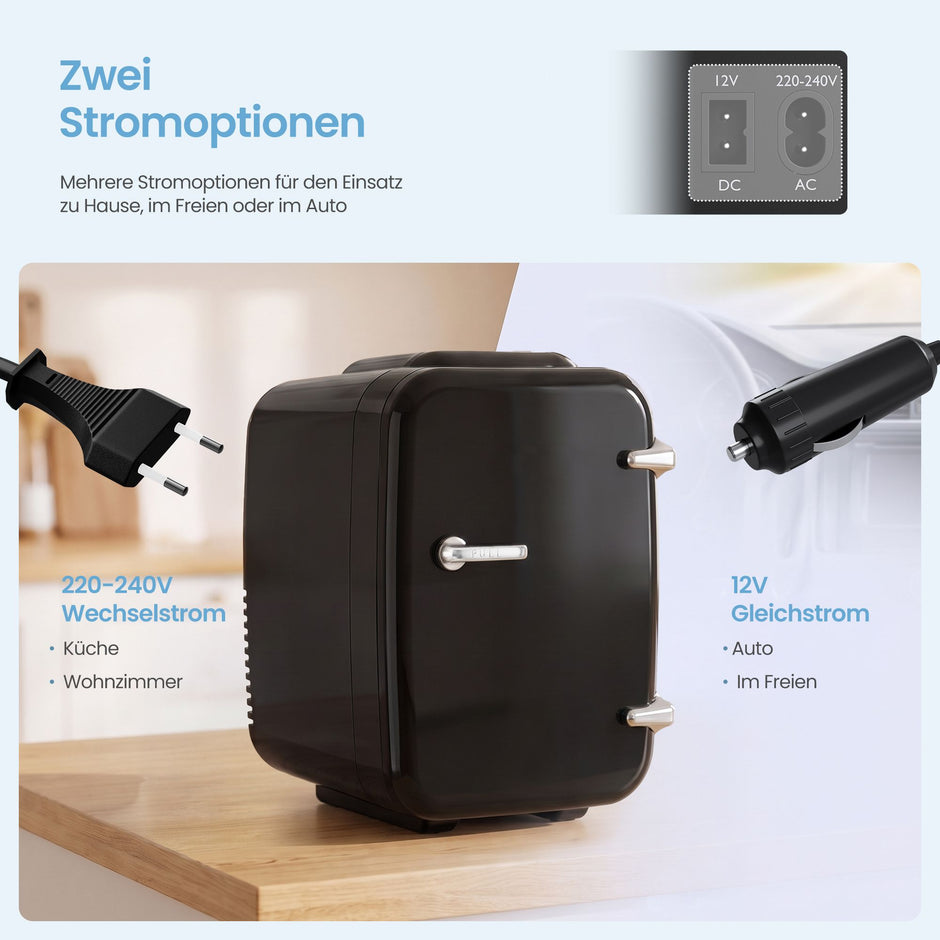 Mini-koelkast - Draagbaar met Koel- en Verwarmfunctie - 12V/230V - 4 L - Zwart - 28 x 20,5 x 29,5 cm