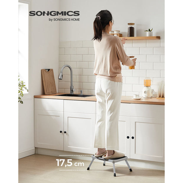 Leiter - Single -Sided Ladder - Van Staal