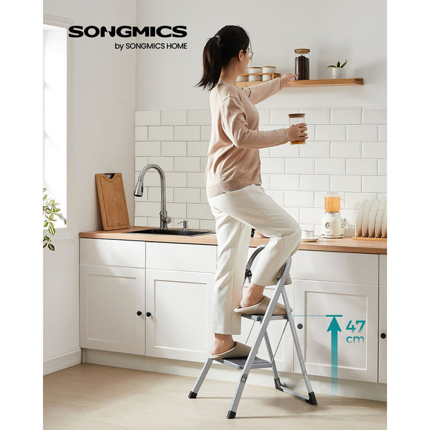 Leiter - mit 2 Schritten