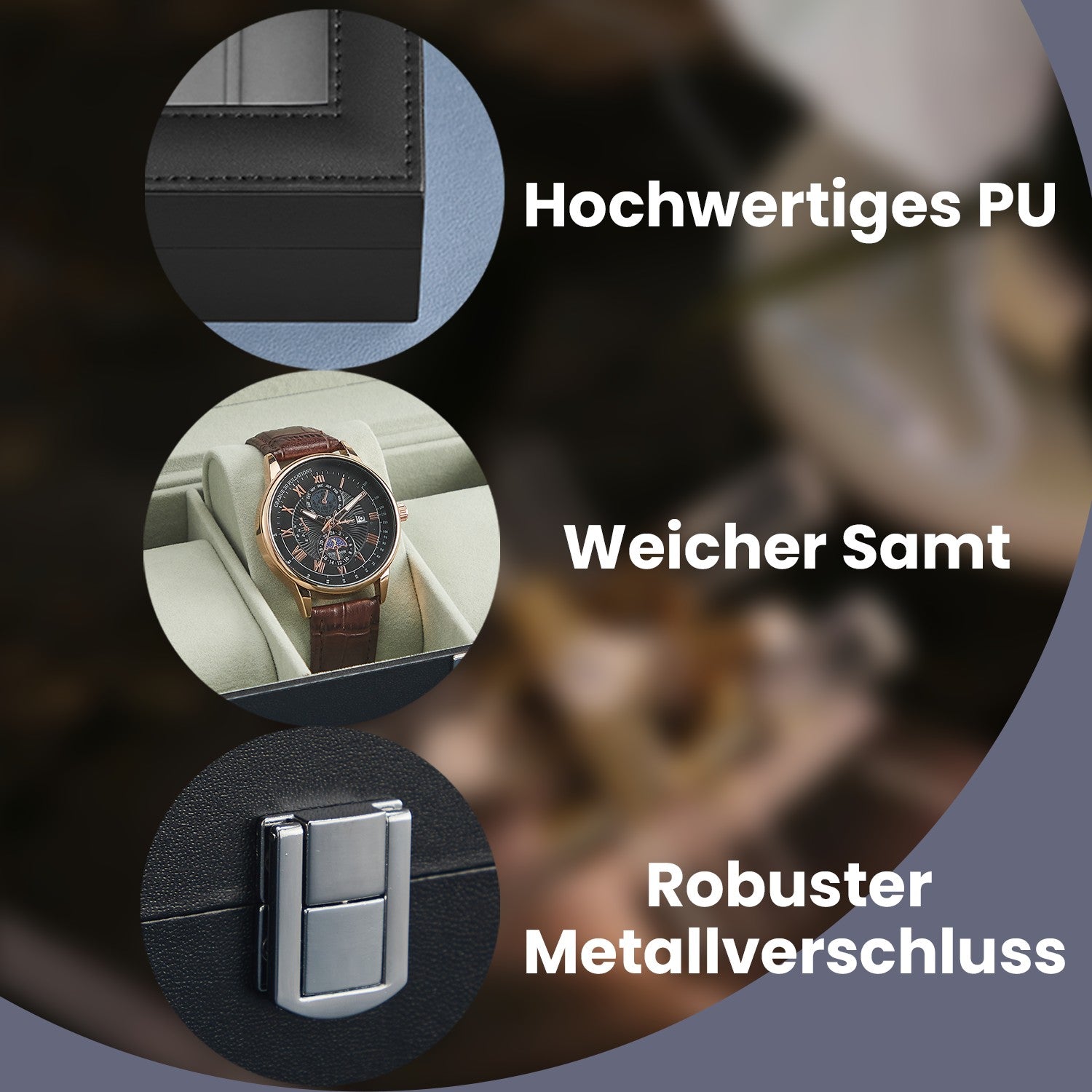 Beobachtungsschachtel mit Glasdeckel - 6 Fächer für Uhren, elegantes Display