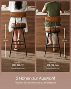 Barhocker - Barstühle - 2 - Metallrahmen - mit Rückenlehne - Brown
