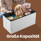 Sofa mit Stauraum - Klappsitzbox - stilvolle Aufbewahrungsbox - Dunkelgrau