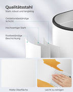 Abfalltrennsystem-2 Kompartimente-Wolkwit-Metall-Silber