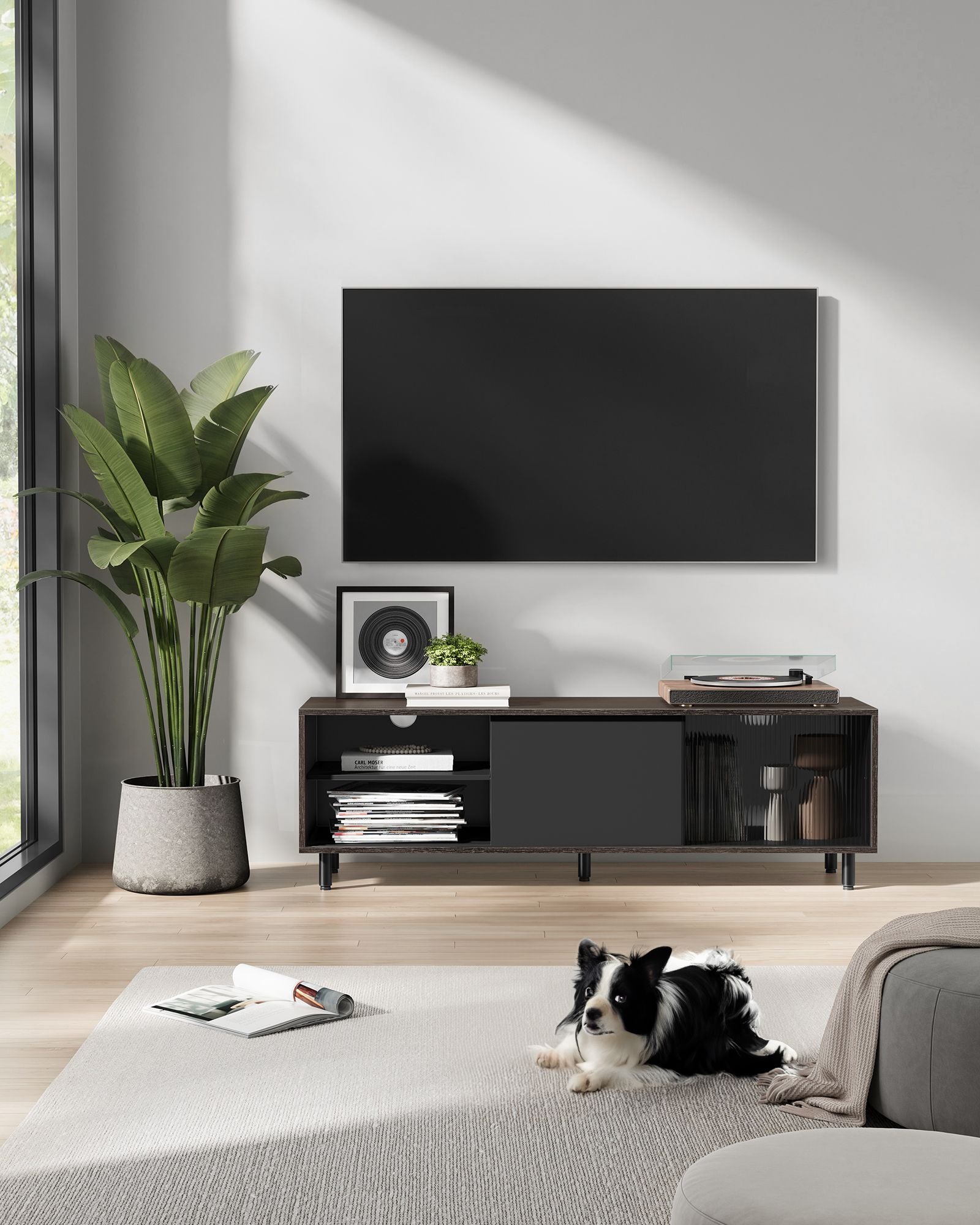 TV -Möbel superschnelle Montage moderne Asbruin -Tinte schwarz