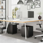 Archivschrank - Büroschrank - Ladeblok - Matt Black