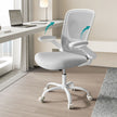 Office Chair - Ergonomisch - mit Mesh - Cappuccino Beige