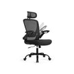 Office Chair - Ergonomisch - mit Mesh - Cappuccino Beige