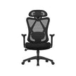 Office Chair - Ergonomischer Bürostuhl - Verstellbarer Computerstuhl - Schwarz