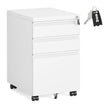Filing Cabinet - Lockable with Drawers