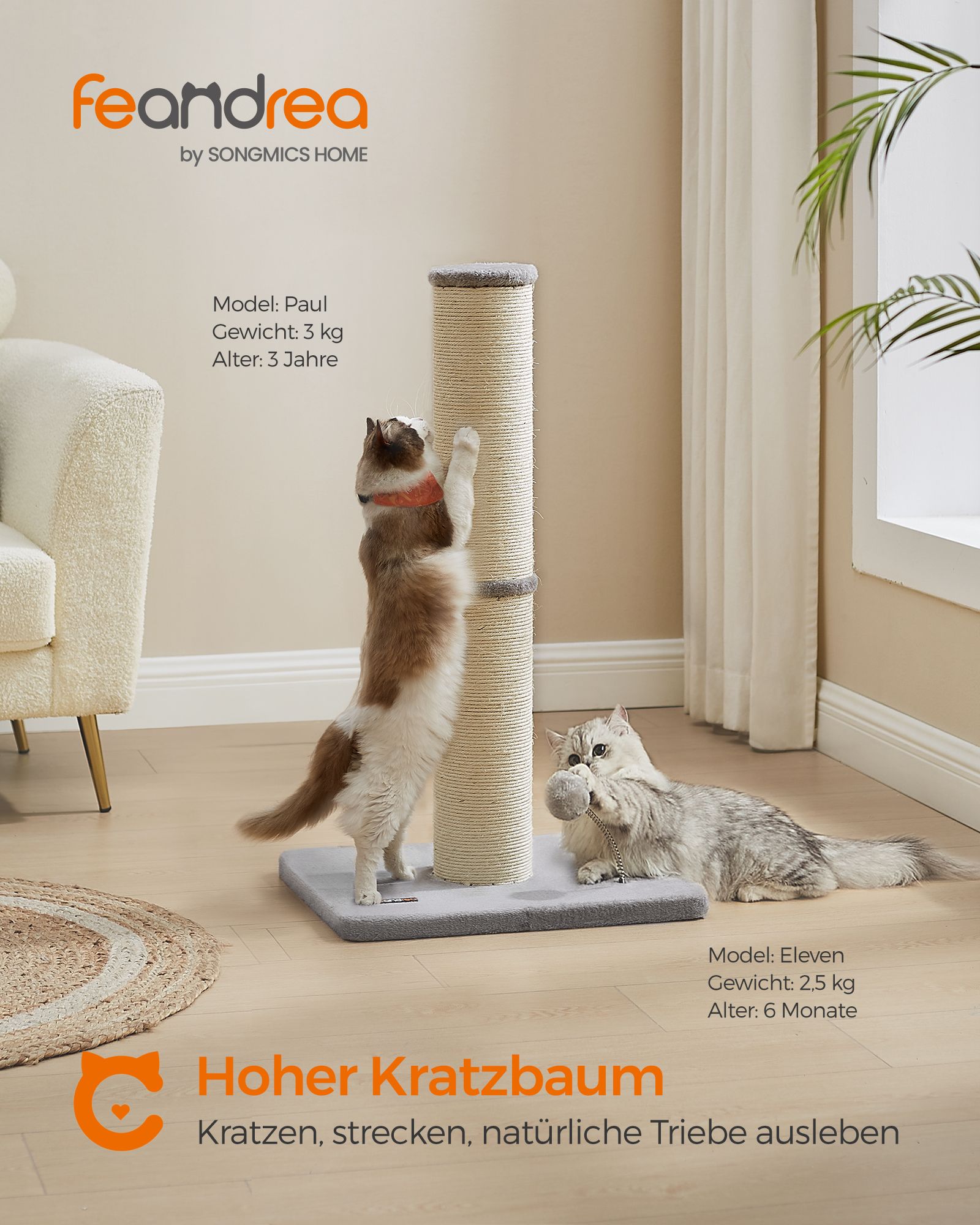 Kratzer nach 85 cm hoch mit Glocken und Plüschkugel