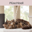 Krabpaal - 186 cm - Dikke Sisalpalen - Voor Grote Katten - Wit