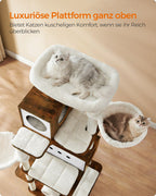 Kratzerpfosten - mit 2 Höhlen und 2 Sonnenlieger - braun