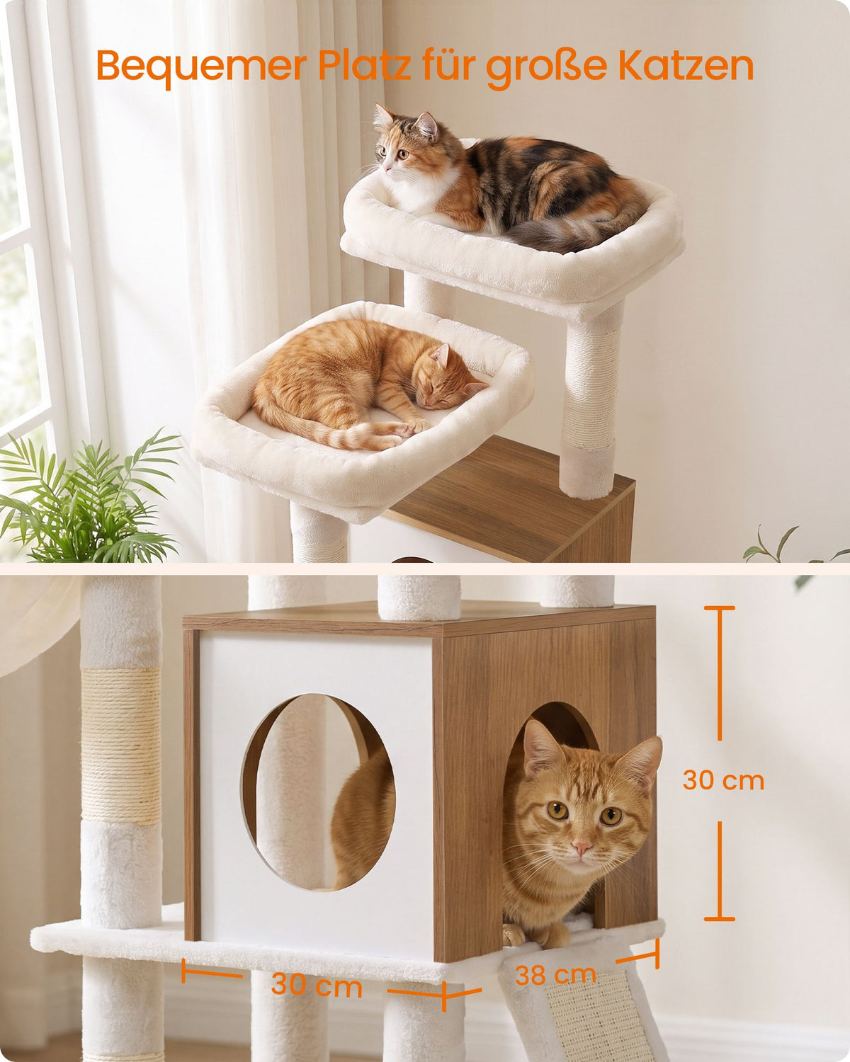 Kattenboom – 6 Niveaus – 2 Kattenholen – Sisalstam – Houtlook – 172 cm – Honingbruin