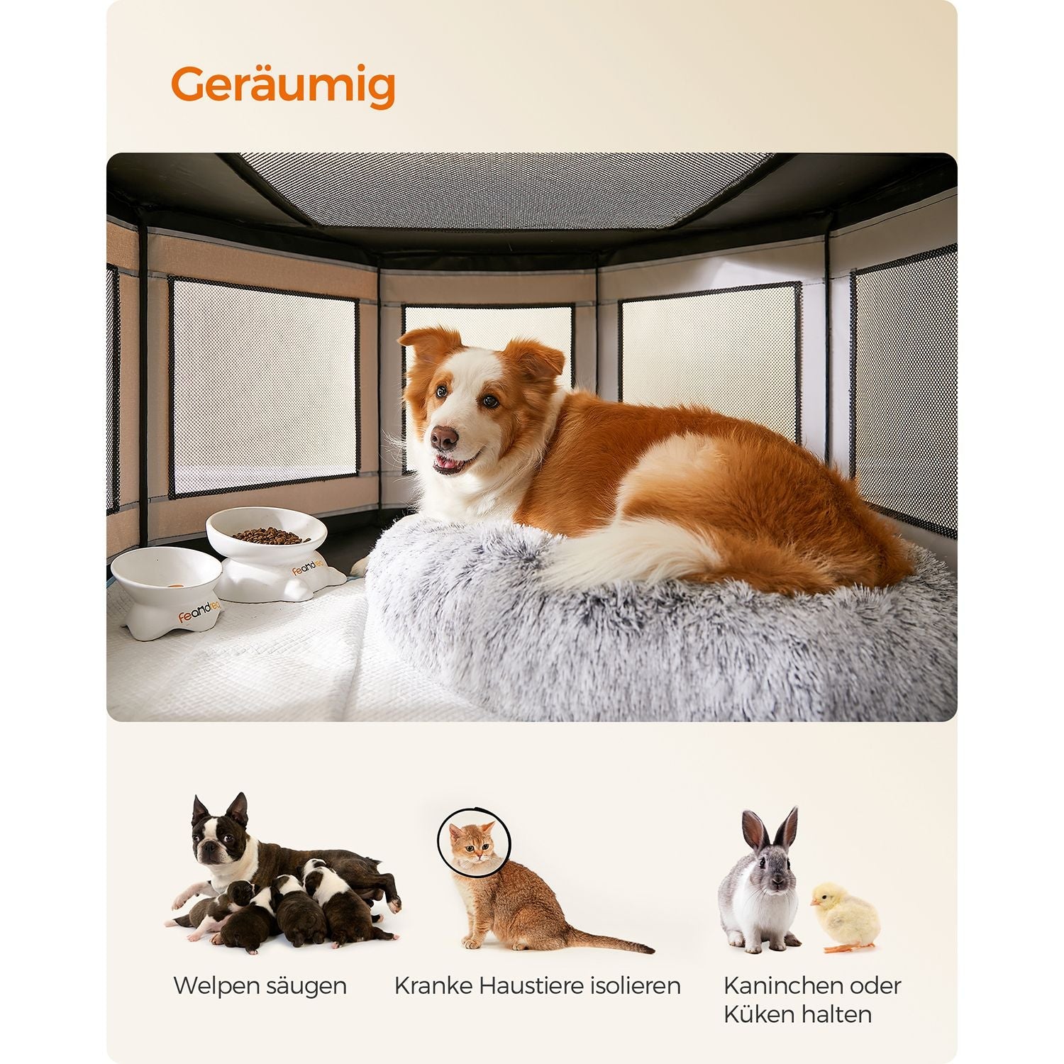 Achteckige Welpenringe - extra groß - für Hunde und Katzen - grau