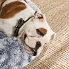 Flauschiger Hundebett - mit Donut -Kissen - Ombré Gray