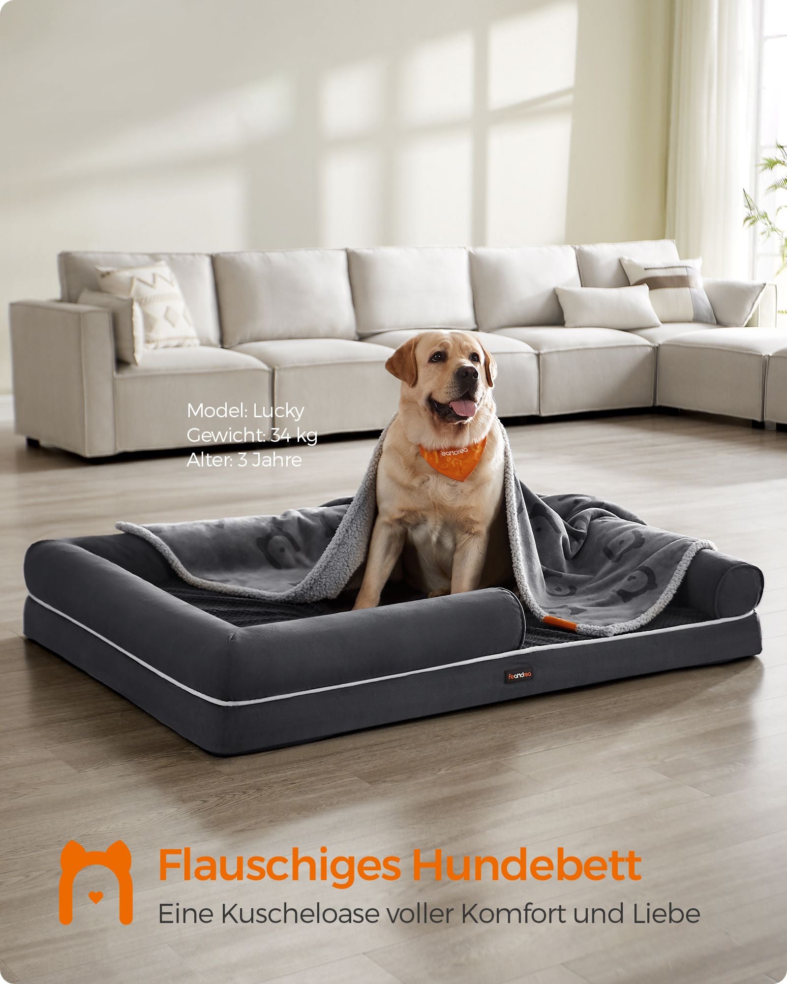 Orthopädisches Hundebett - Hundekissen mit weicher Füllung