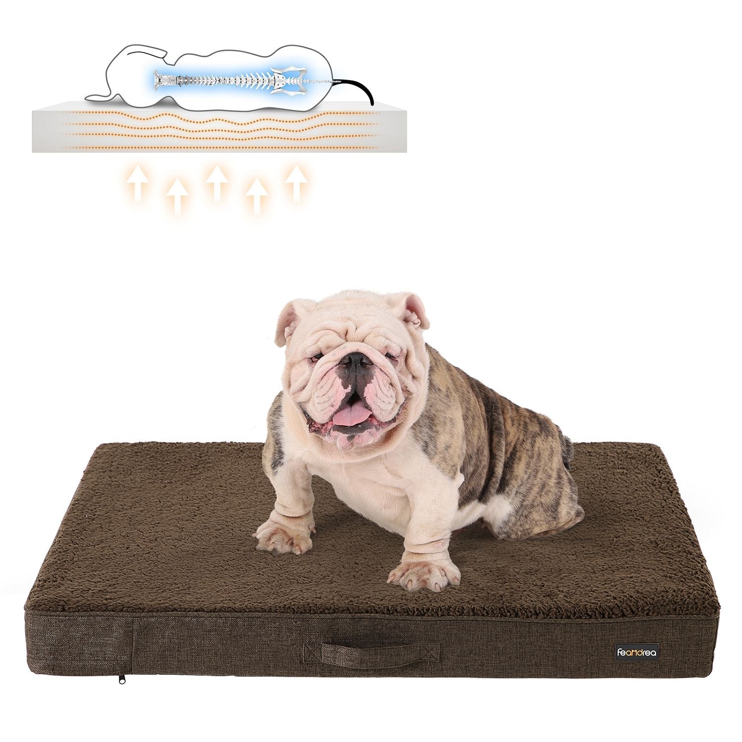 Orthopädisches Hund Kissen - 100 x 70 x 10 cm - braun