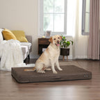 Orthopädisches Hund Kissen - 120 x 80 x 10 cm - braun