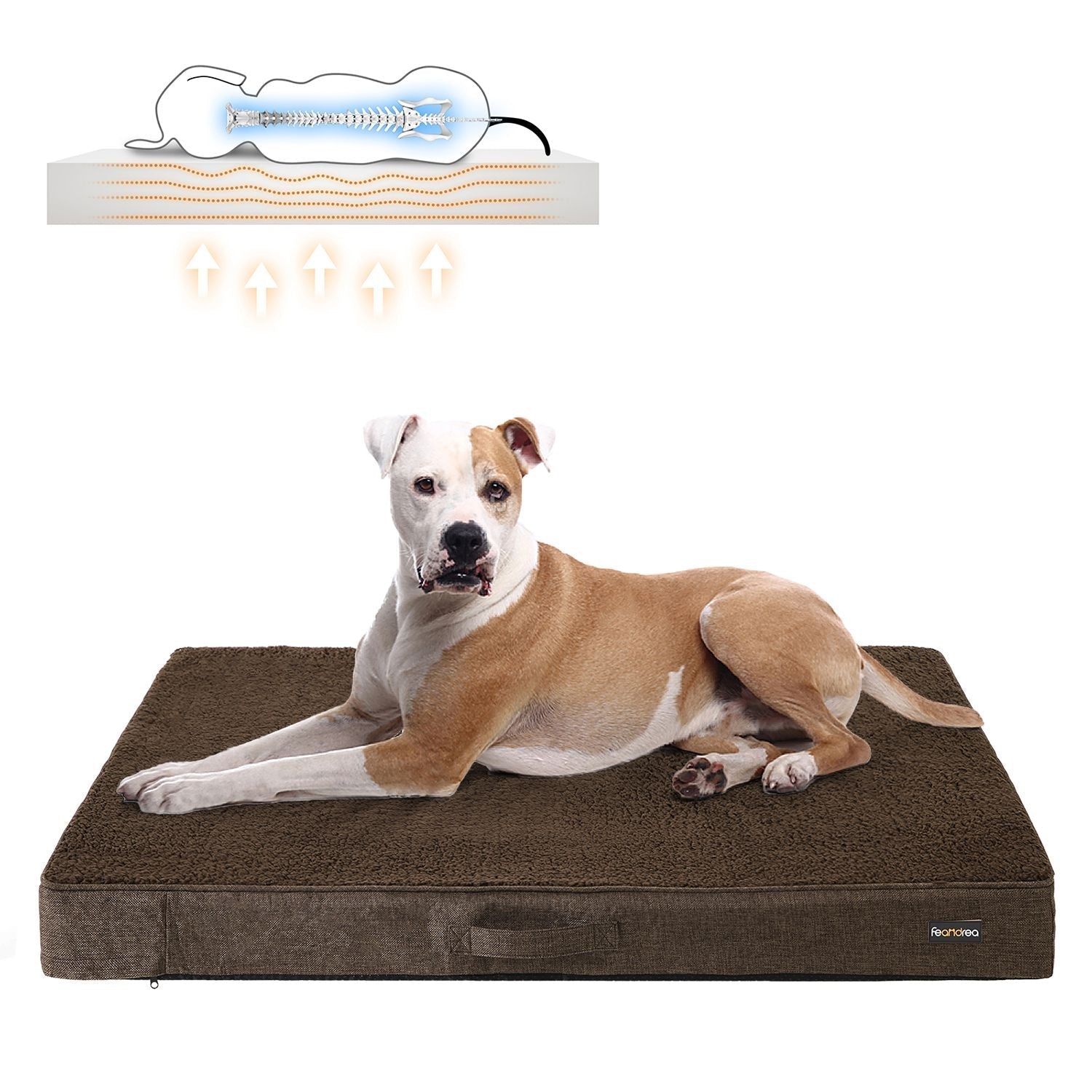 Orthopädisches Hund Kissen - 120 x 80 x 10 cm - braun