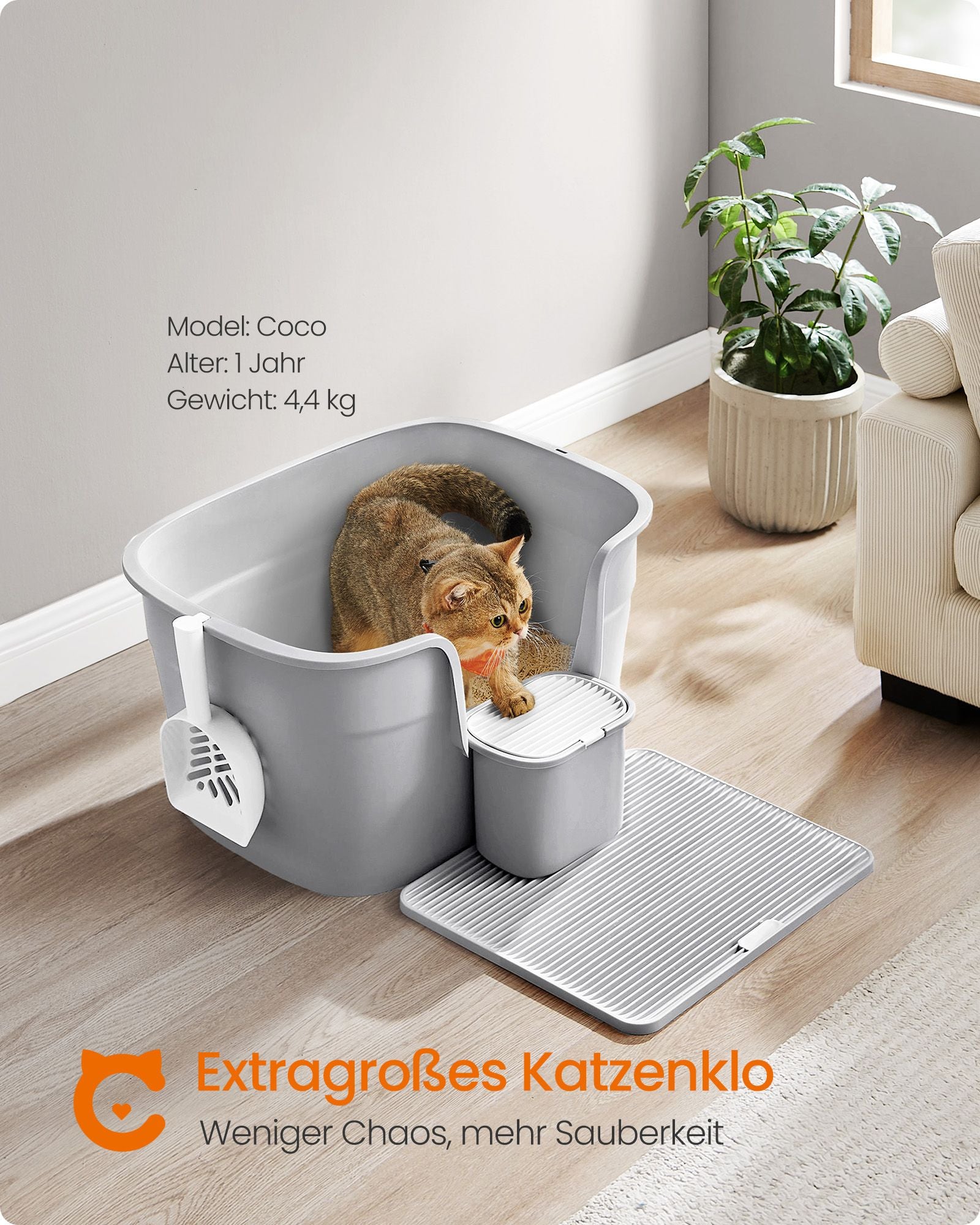 Hohe Seitenwanddrüsenbox, Taube grau