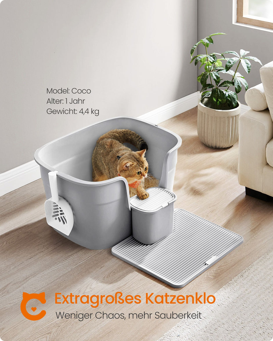 Hohe Seitenwanddrüsenbox, Taube grau