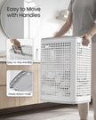 Kitchen Bin - With Pedal and Soft-Close Lid