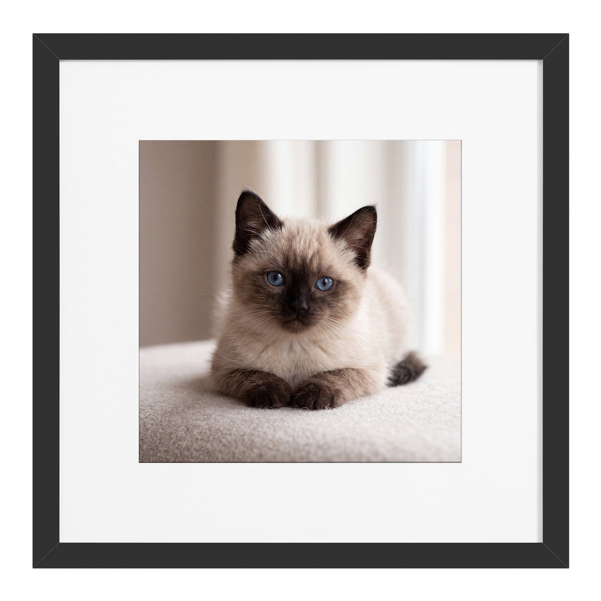 Fotolijst – 30 x 30 cm – Met Sporloze Wandhaken – Ophangen of Neerzetten – Zwart