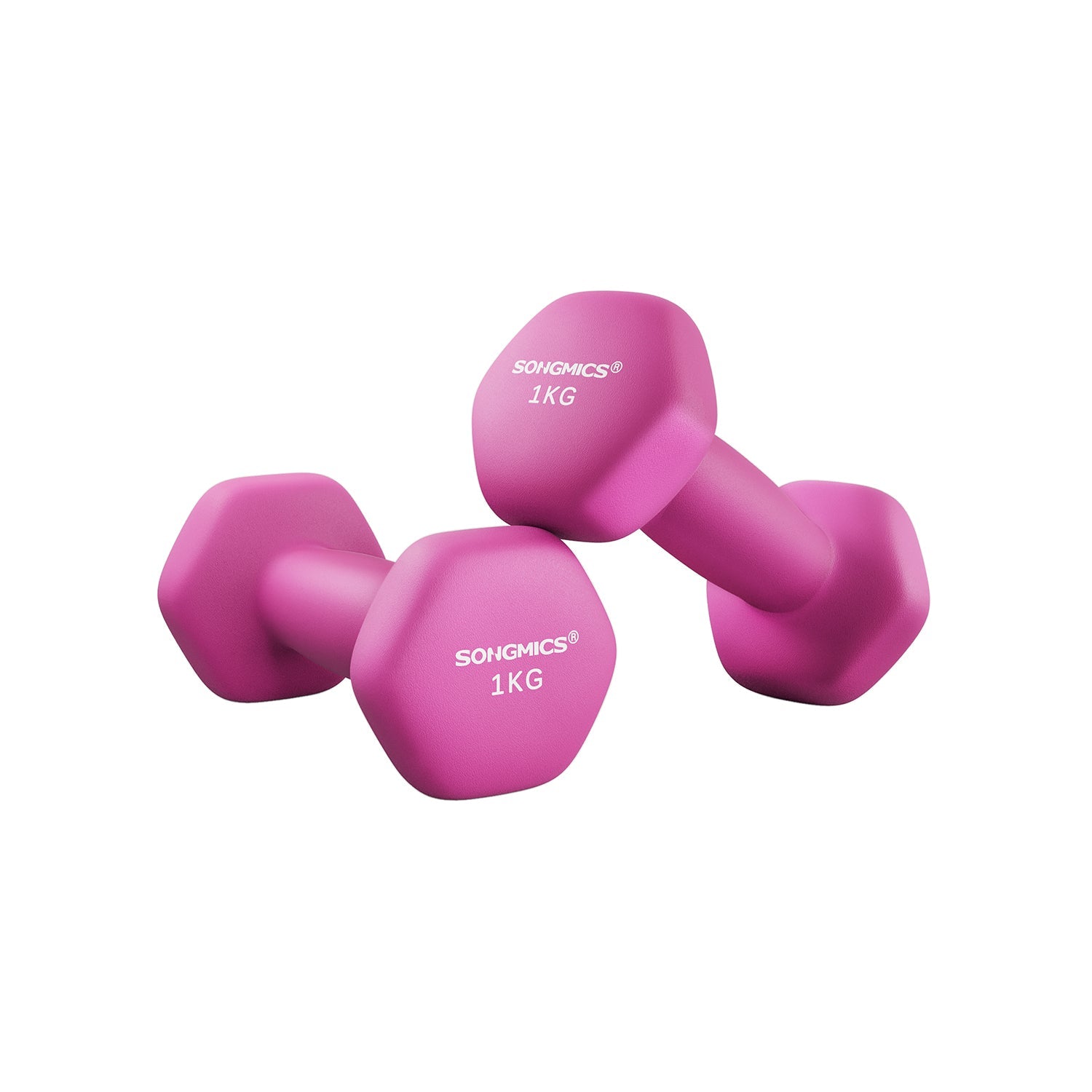 Halter - 2 Gewichte von 1 kg - Halfterset - Pink