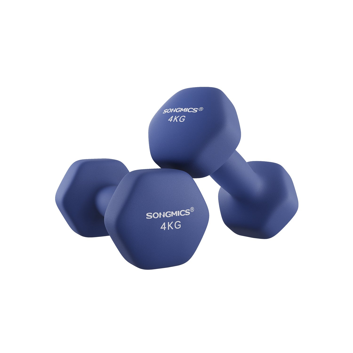 Halter - 2 Gewichte von 4 kg - Halfterset - Blau