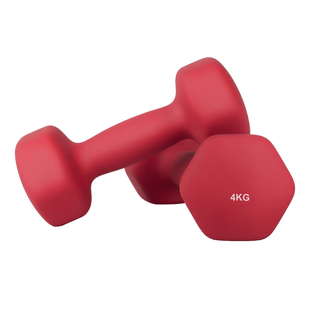 Set of 2 Dumbbells - Cast Iron and Neoprene Coating