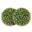 buxbomkulor – UV beständiga dekorativa topiary konstgjord växt – 2 Ø 37 cm – Rosa