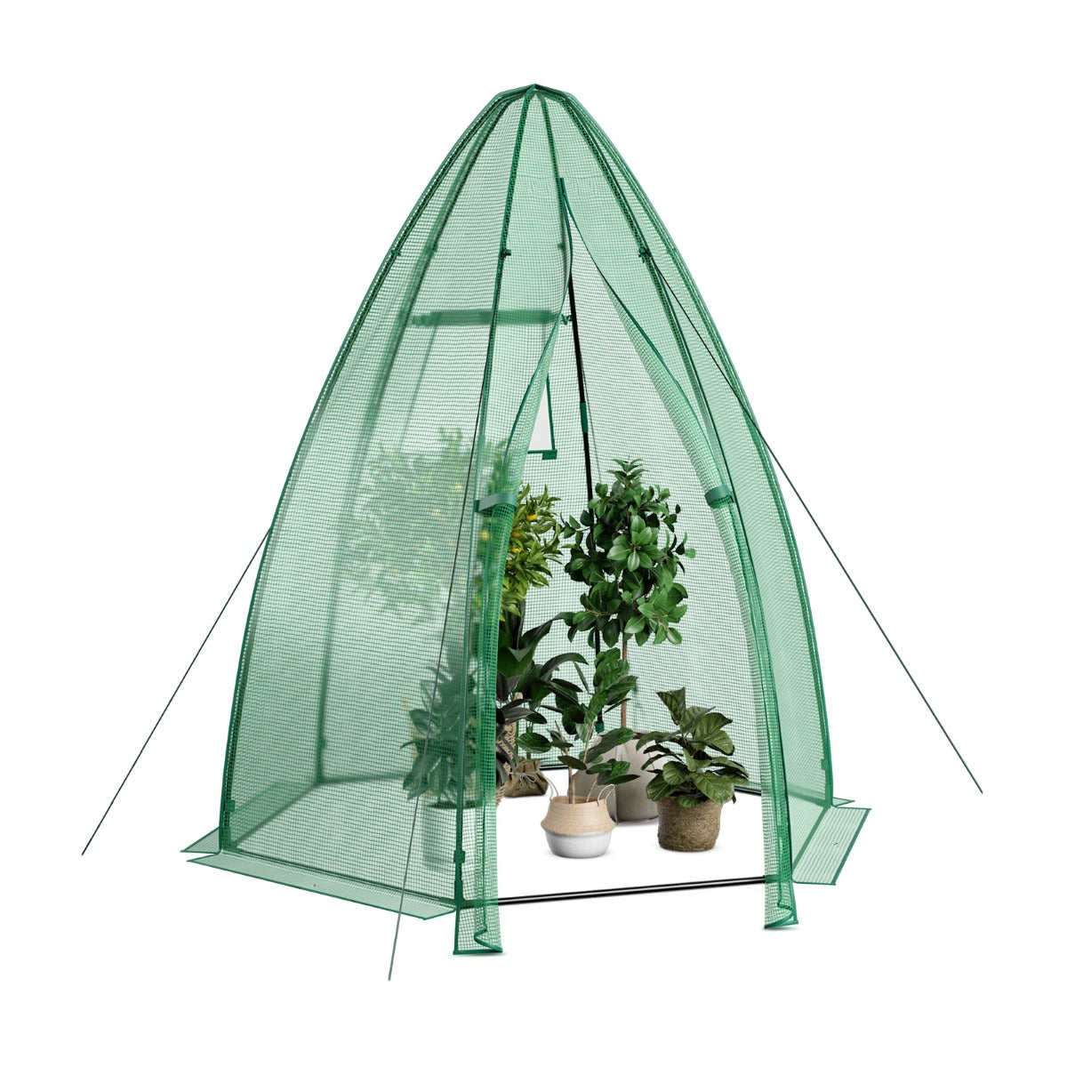 Växthus – Trädgård med allväder PE överdrag – 160 x 160 x 183 cm – Grön