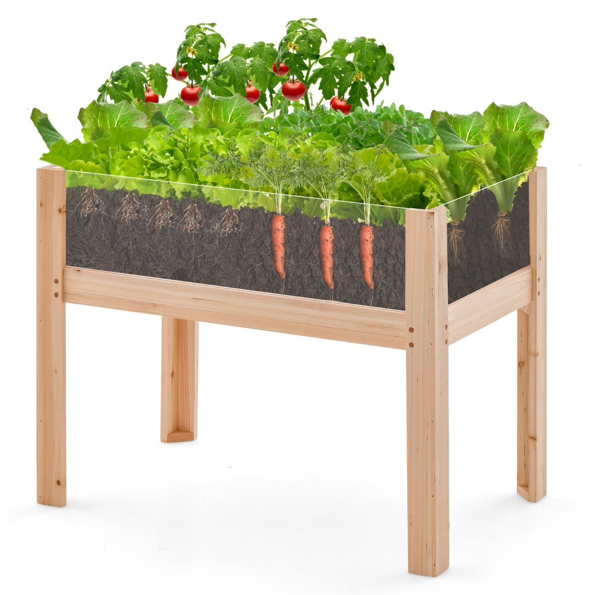upphöjd – bädd med dräneringshål och transparenta akrylpaneler – 50 L 75 x 46 x 61 cm – Natur
