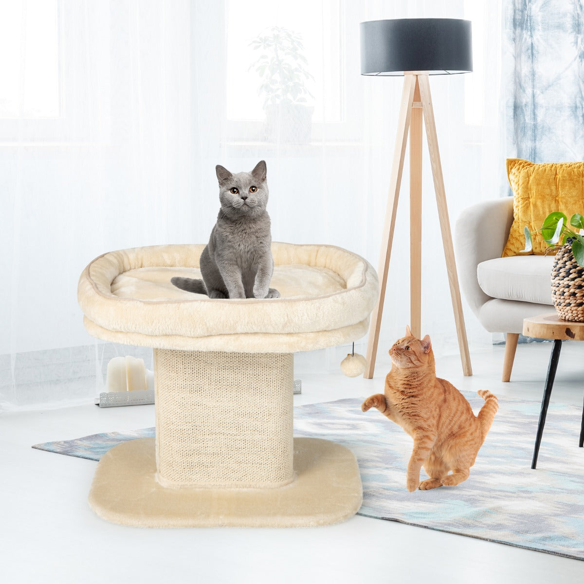 Moderna – kattmöbler för skrapstolpe med stor plyschsits och sisalskrapbräda – Beige