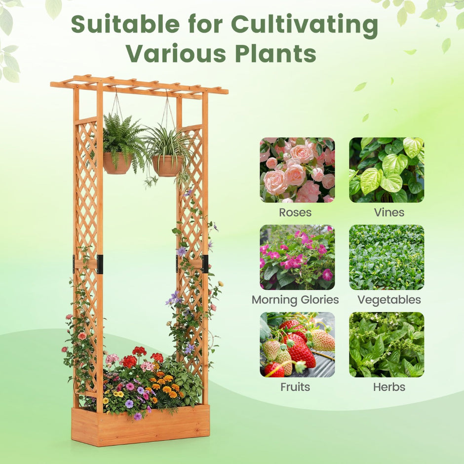Blomlåda – med Rankställning Plantlåda Rankstöd och Hängande Tak Avskärmning – Orange