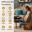 tangenter – Pianokeyboard för nybörjare Elektroniskt keyboardset med höjdjusterbart stativ – 61 – Svart