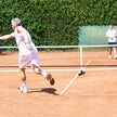 Bärbart – Pickleball nät med metallrör Starkt polyesternät och Oxford bärväska Väderbeständigt sportnät långt – 670 cm – Silver