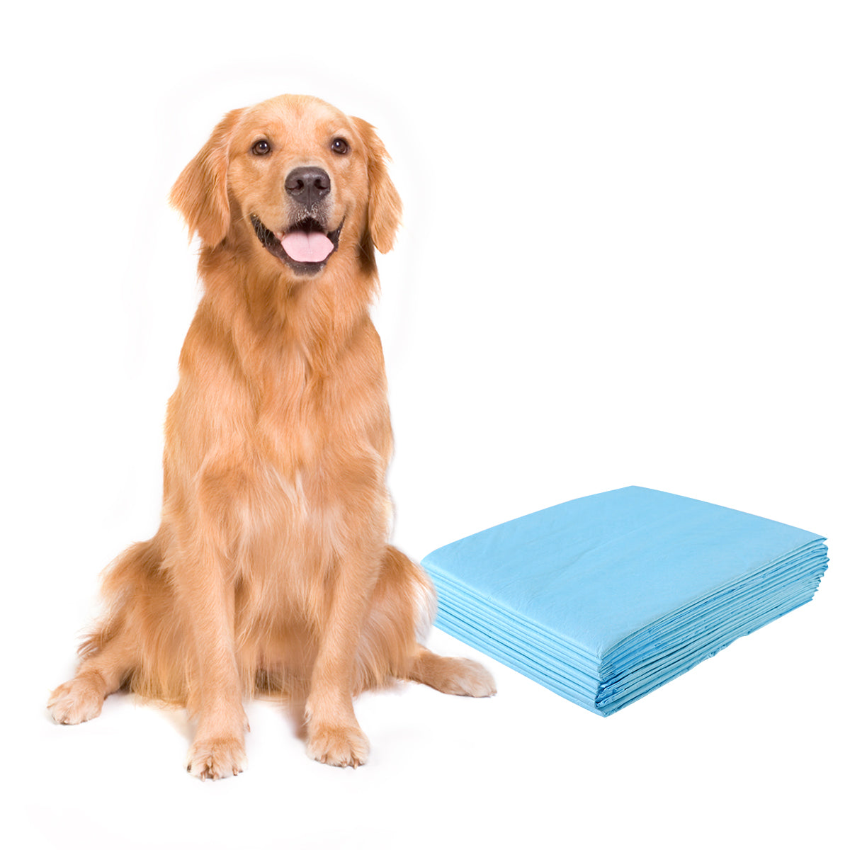 Träningsdyna – Hund Valpdyna Valphygienskydd st – 100 75 x 90 cm – Blå och vit
