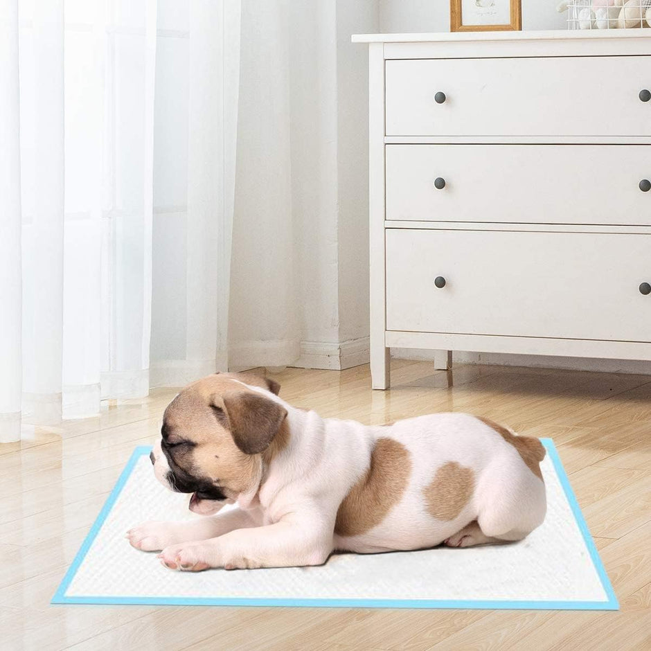 stycken – hundträningsdynor med läckagesäkra lagers valpdynor – 100 5 60 x 60 cm – Blå