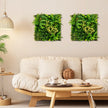 Förpackning – med fyrkantiga inramade konstgjorda lövverk Väggkonst 3D Vägggrönska – 2 50 x 50 cm – Grön
