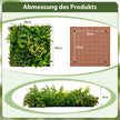 Förpackning – med fyrkantiga inramade konstgjorda lövverk Väggkonst 3D Vägggrönska – 2 50 x 50 cm – Grön
